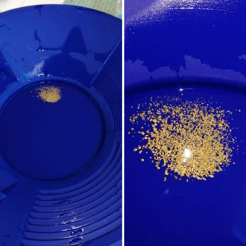 Cotyora Gold Mavi Pan Altın Eleme Yıkama Tavası