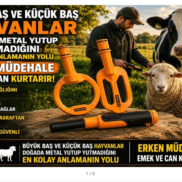 Hayvancılıkta Metal Yutma Çözümü | Pointer Dedektör & Cotyora