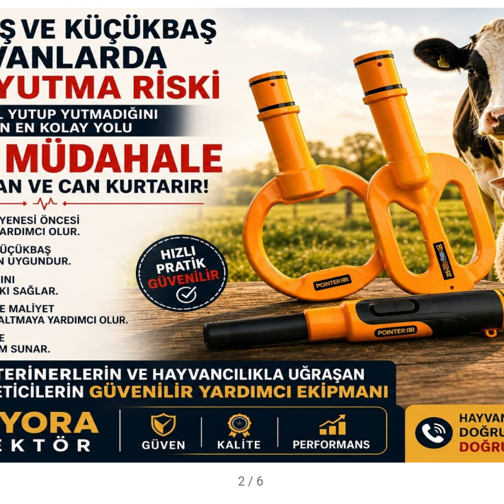 Hayvancılıkta Metal Yutma Çözümü | Pointer Dedektör & Cotyora