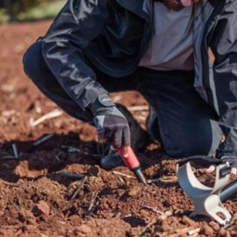 Minelab X-Terra Elite