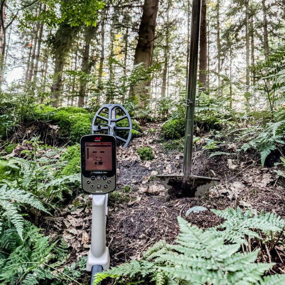 Minelab X-Terra Pro Dedektör